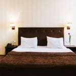 конект лісова пісня